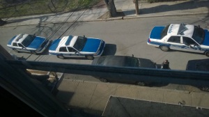 "They must be our neighbor, living in the house next to ours." My roommate said. The US police arrived in two minutes.